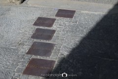 DSC_2603